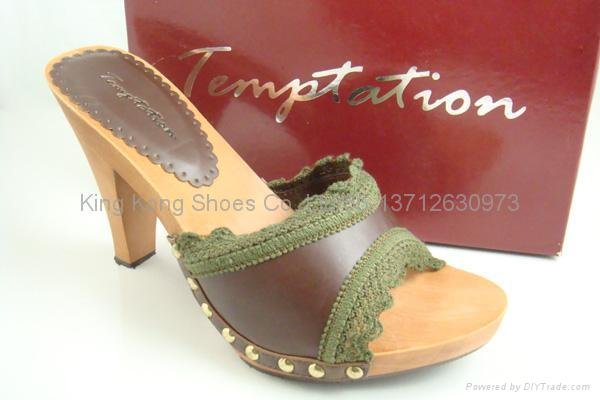 sandles/slippers/ladies shoes/women shoes/fashion shoes 2