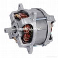 Lawn Mower Motor/ Engine