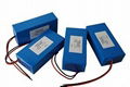 Low temperature rechargeable lithium batteries 4