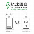 寶力晟12V100AH卷繞電池房車專用房車電瓶低溫畜電池 5