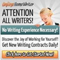 Become A Professional Writer Today ! 1