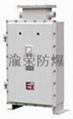 上海廠家全國特價直供BQJ-系列防爆自耦減壓電磁啟動器  1