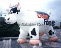 PVC giant inflatable cow for advertising,inflatable cow costume for sale 1