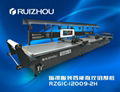 RUIZHOU-Suit strip to grid cutting machine (clothing industry solution)