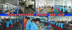 Guangdong Lei Zhi Sheng electronic technology co;LTD