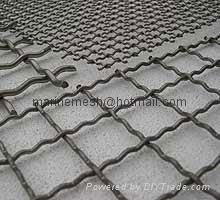 Crimped Wire Mesh 5