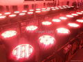 LED Par Light /LED par king/ LED par can 5