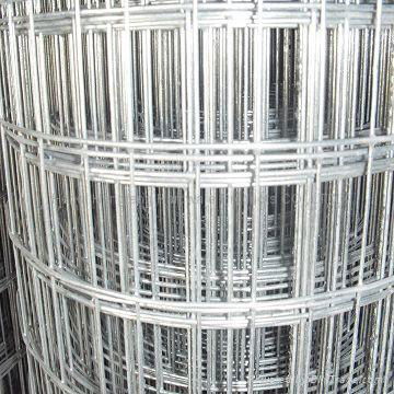 galvanzied wire mesh (Hot dipped galvanized wire mesh) 4