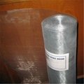 galvanzied wire mesh (Hot dipped