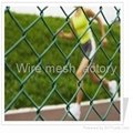 PVC coated chain link fence (diamond wire mesh)