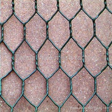 hexagonal wire mesh 