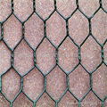 hexagonal wire mesh