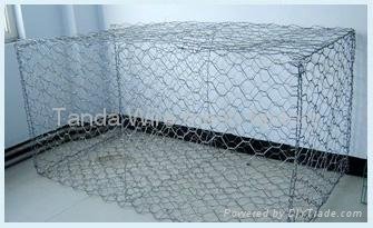 hexagonal wire mesh  5