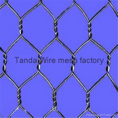 hexagonal wire netting