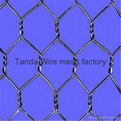 hexagonal wire netting