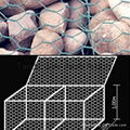 hexagonal wire netting 3