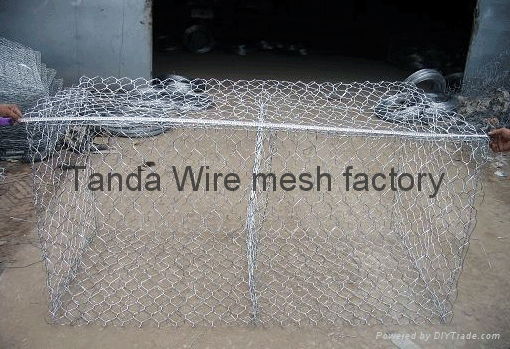 hexagonal wire netting 5