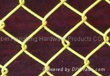 chain link fence(diamond wire mesh) 4