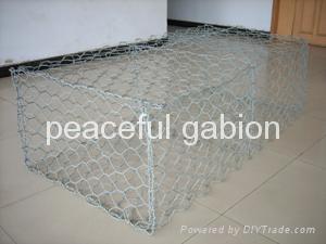 gabion box