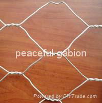 hexagonal wire mesh