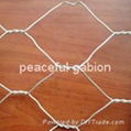 hexagonal wire mesh 1