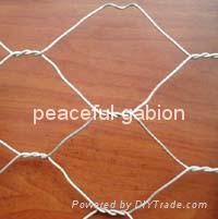 hexagonal wire mesh