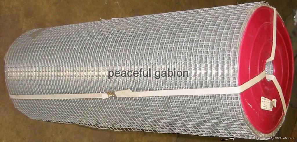 welded wire mesh 3