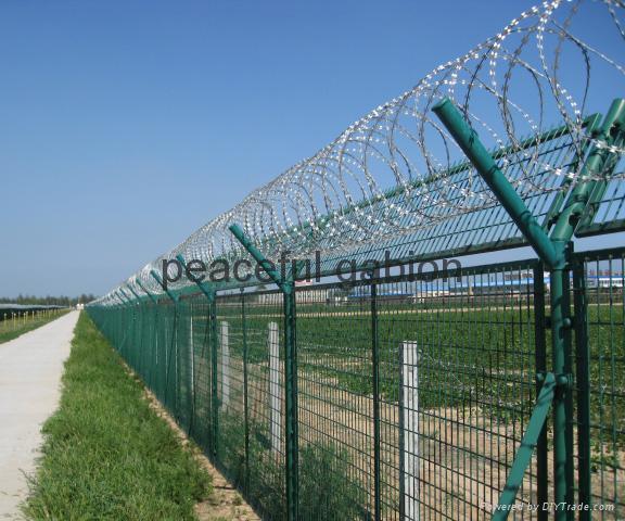 razor tape wire 3