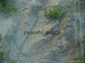 plastic wire mesh 4