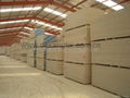 Gypsum Board