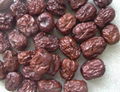 Shangdong red jujube