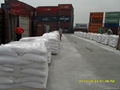 Gypsum Powder  1