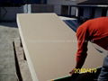 Paper-faced gypsum board 