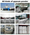 Gypsum Powder  5