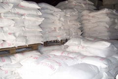 Gypsum Powder 