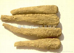 Dahurian angelica root