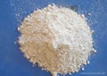 Quicklime Powder