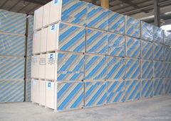 Gypsum Board