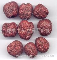 Shangdong red jujube 3