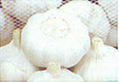 White garlic