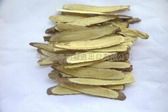 Root of ural licorice slices