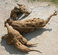 Kudzu Root