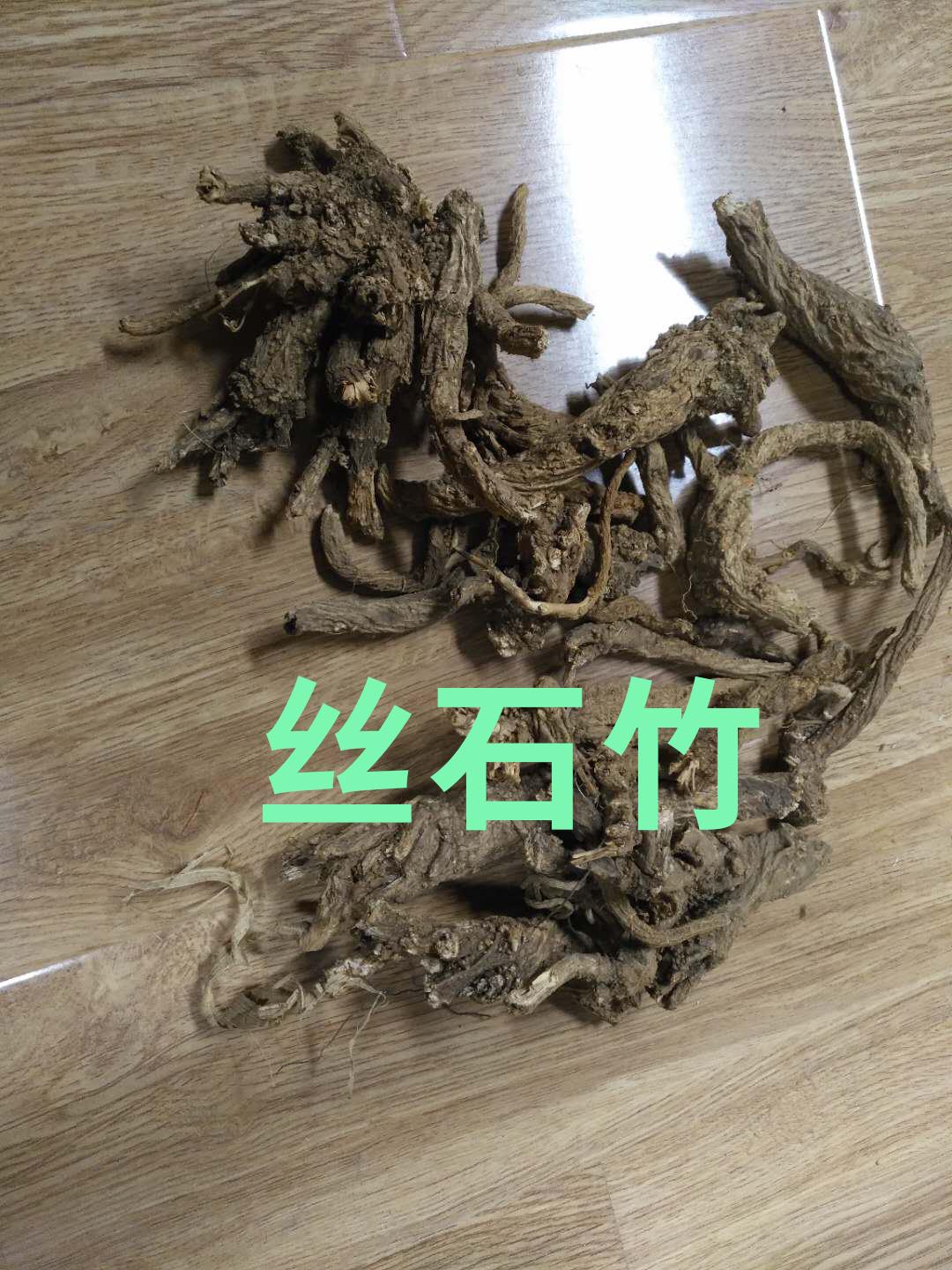 丝石竹 2