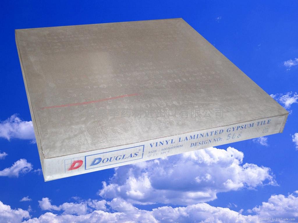 PVC  Gypsum  Ceiling Board 4