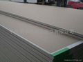 Gypsum Board