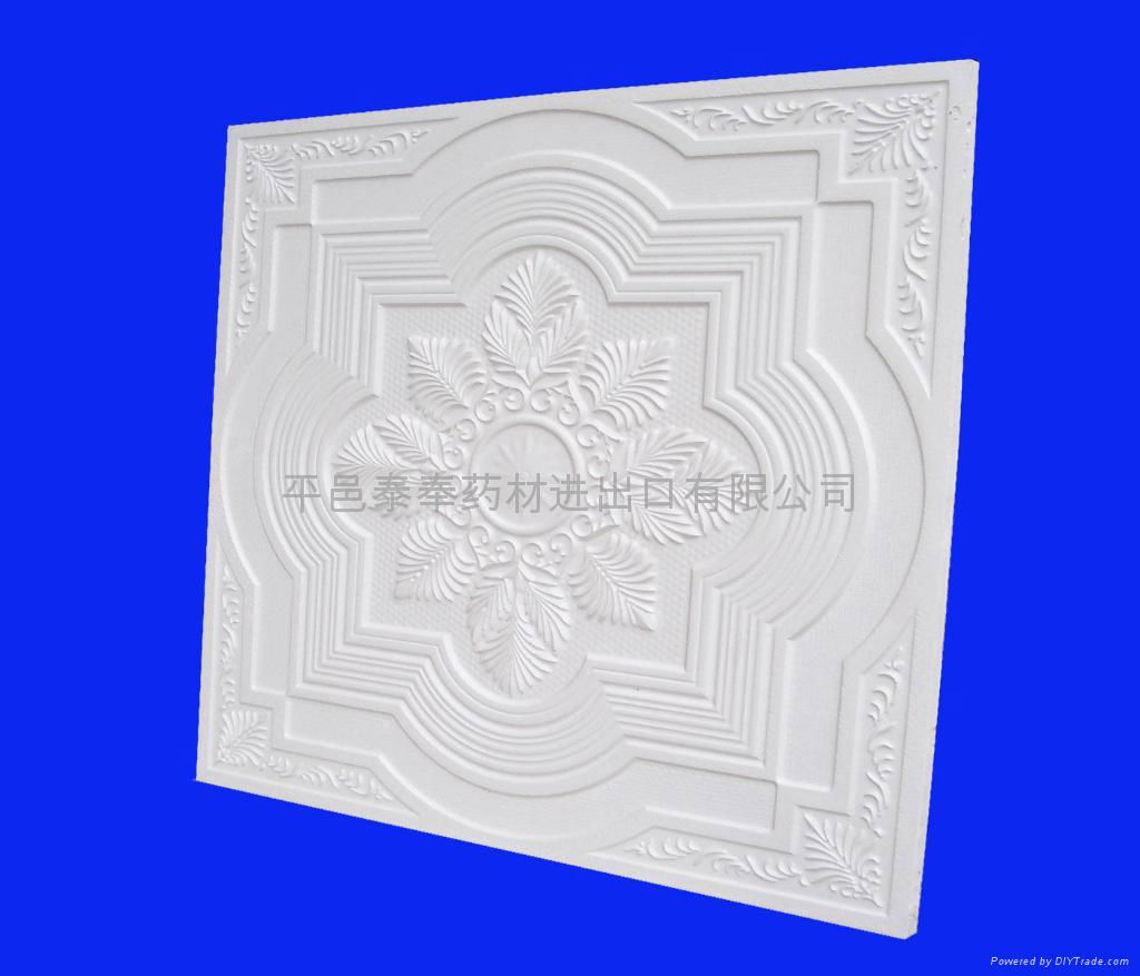  gypsum ceiling 2