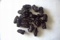 Black jujube 1