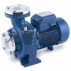 Italy Pedro pump product CP130 3