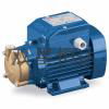 Italy Pedro pump product CP130 5