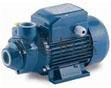 Italy Pedro pump product CP130 2